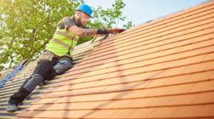 Best Skylight Installation and Repair  in Bishop, CA